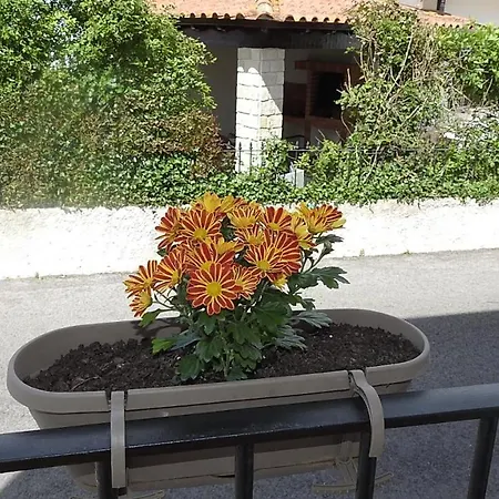 Maison d'hôtes Do Senhor Da Pedra *